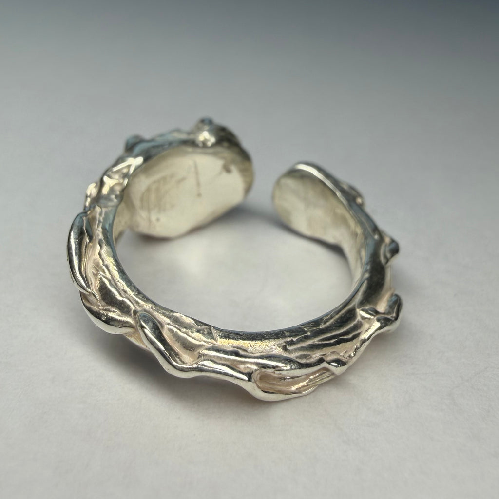 Embryo (In A Dragon's Grip)