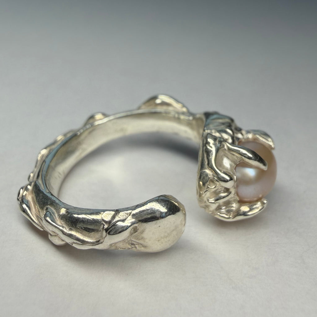 Embryo (In A Dragon's Grip)