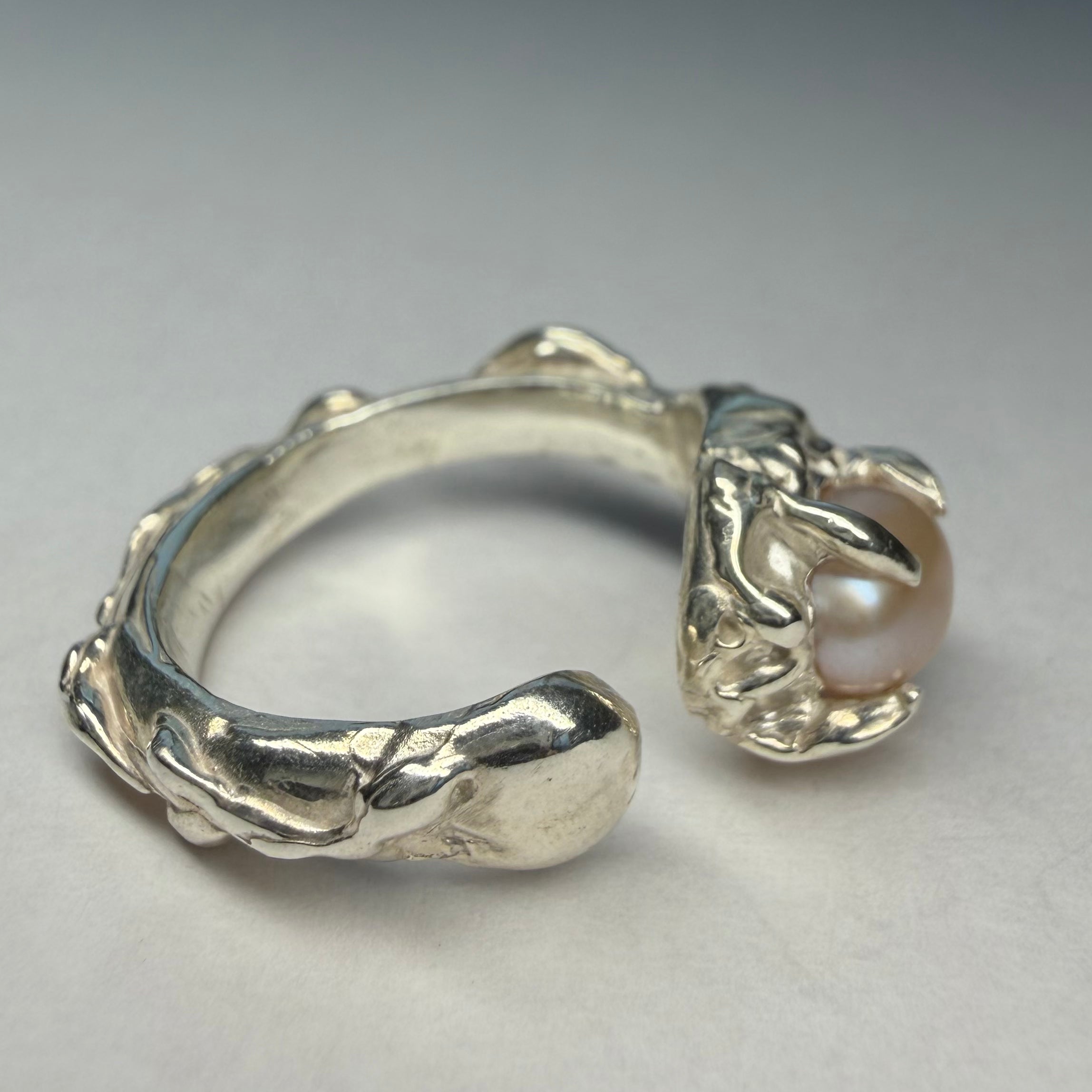 Embryo (In A Dragon's Grip)